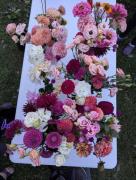 Chorus Bouquets At Sharon's Flower Farm! 